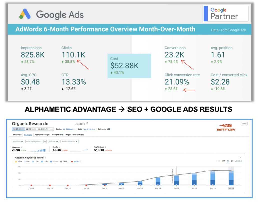 Alphametic SEO Google Ads Results