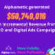 alphametic generated revenue in 2024